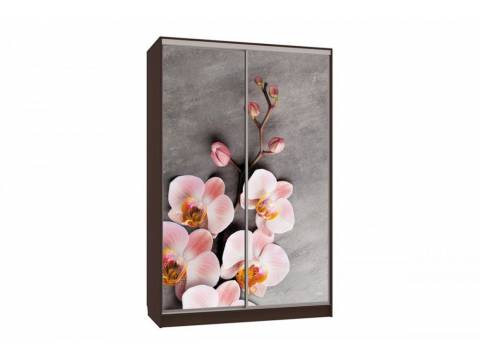 Шкаф-купе Гранд 7-600 78