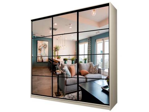 Шкаф-купе Max МШ-25-6-24/2-555