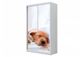 Шкаф-купе Хит 23-14-77 фото 24